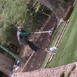 Images Tree & Garden Services