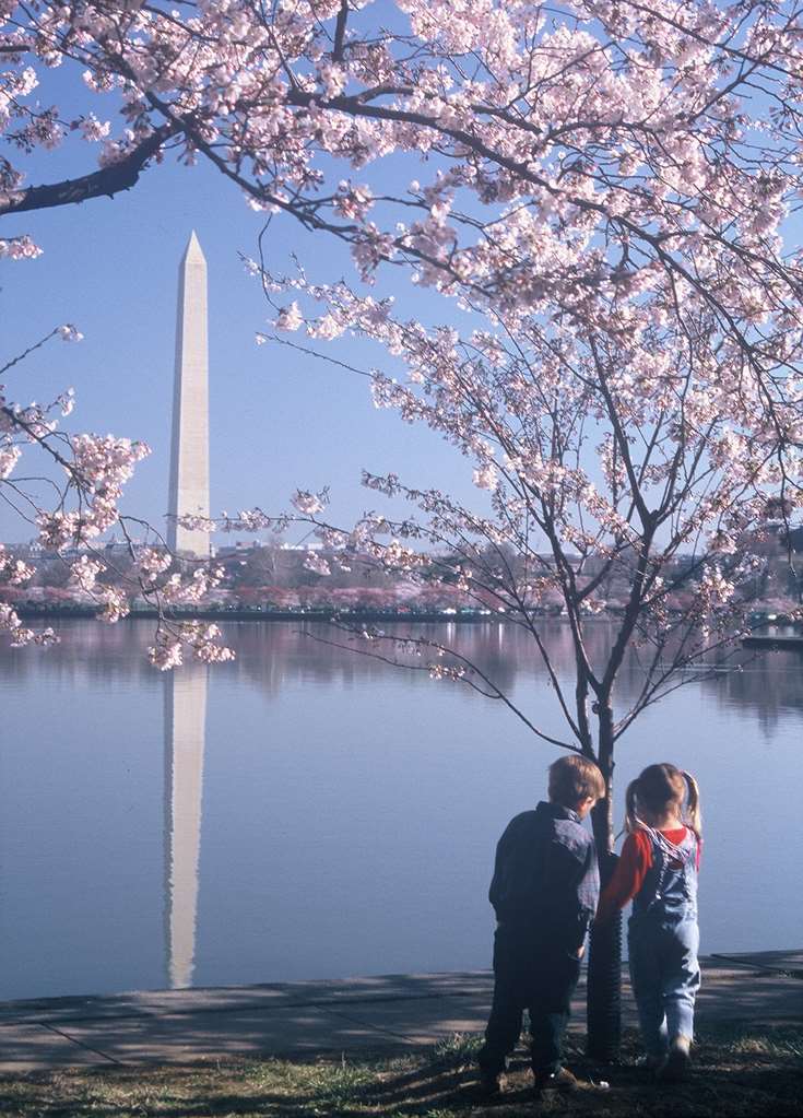 Homewood Suites by Hilton Falls Church - I-495 @ Rt. 50 Image