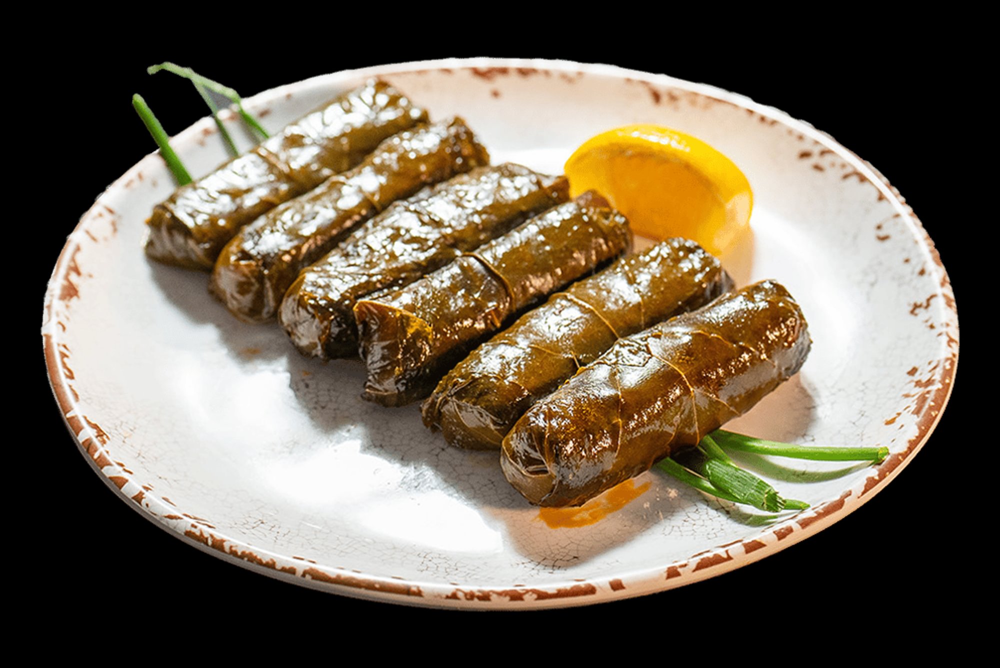 Grape Leaves Appetizer