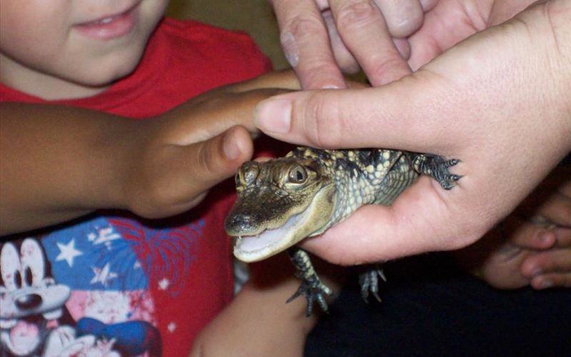 Meadowlands KinderCare Photo