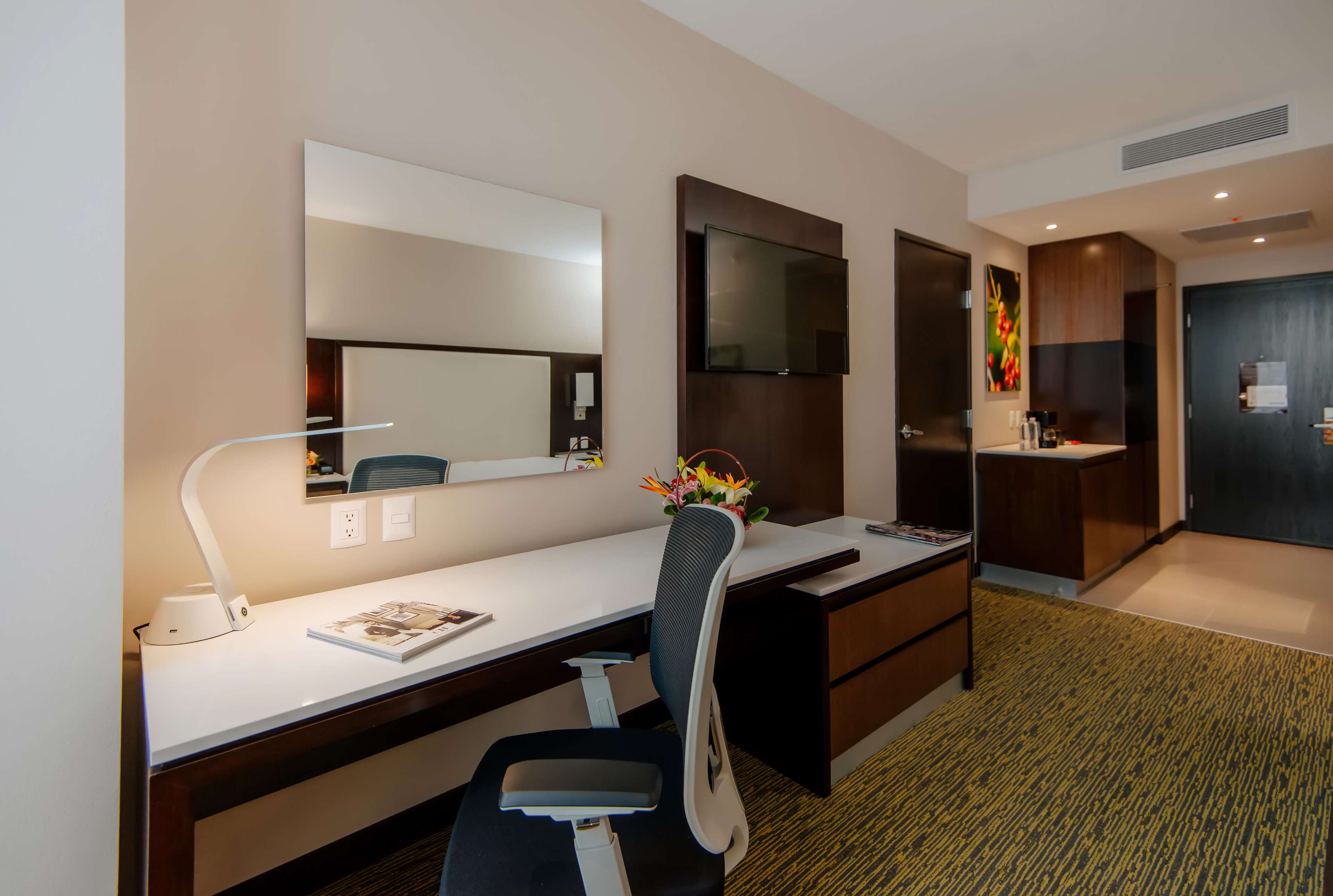 Images Hilton Garden Inn Puebla Angelópolis