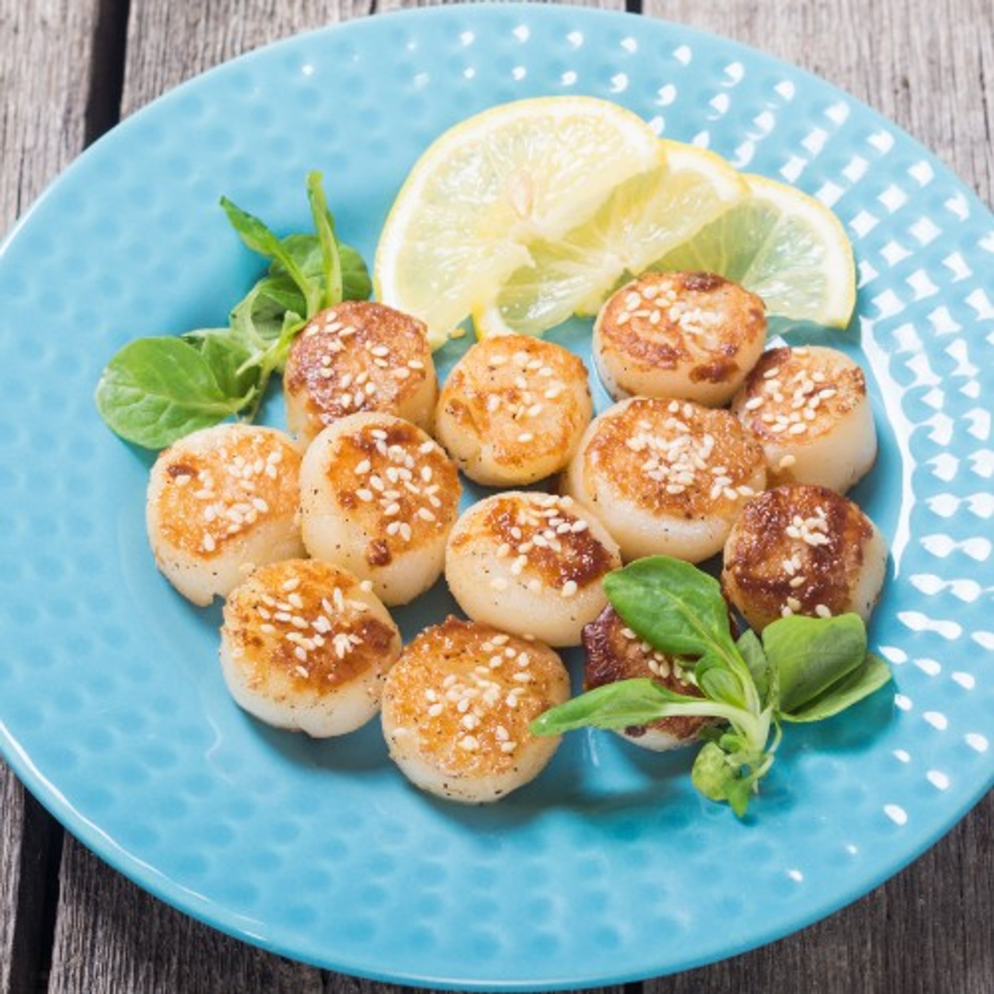 Scallops