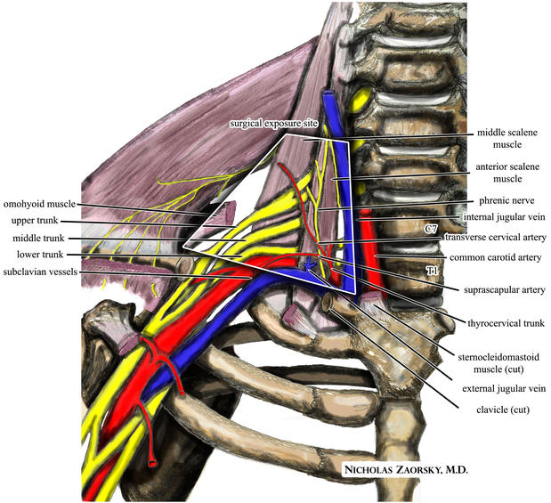 Images California Sports & Rehab