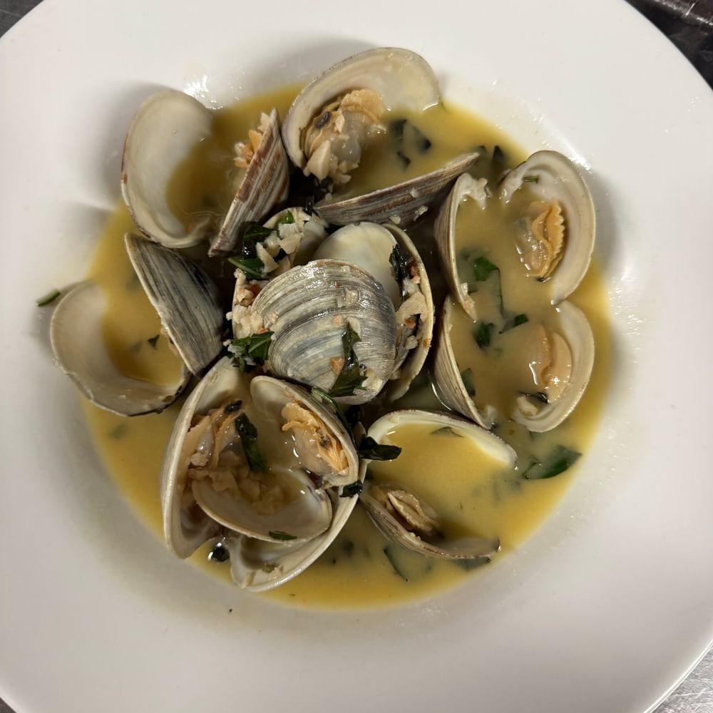 Little Neck Clams