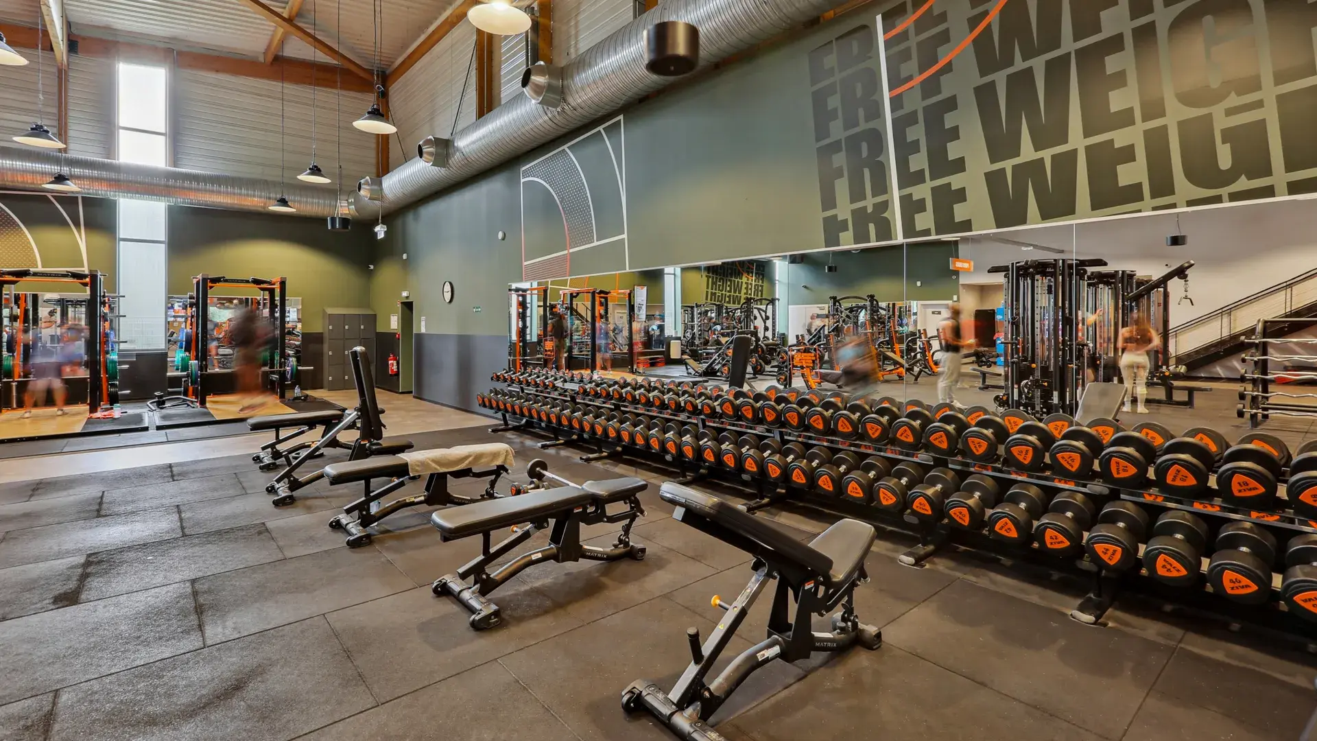 Miniature de la galerie