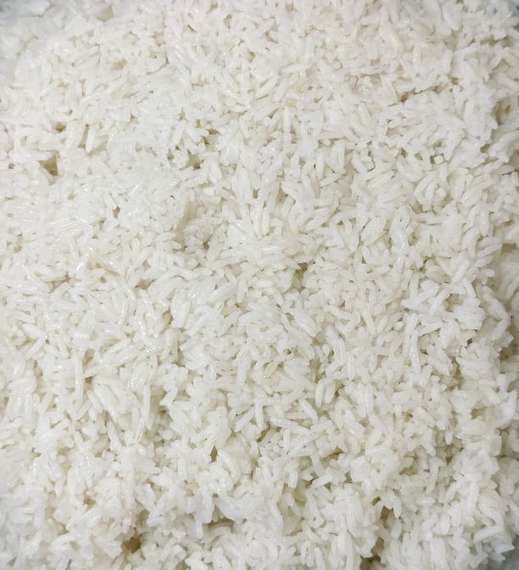 Steamed Rice