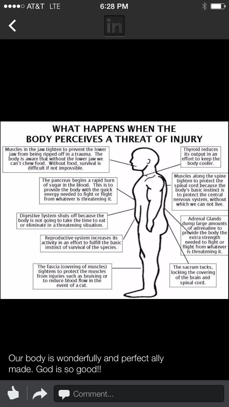 An amazing, innately intelligent system.  What do you do to keep yours tuned up?