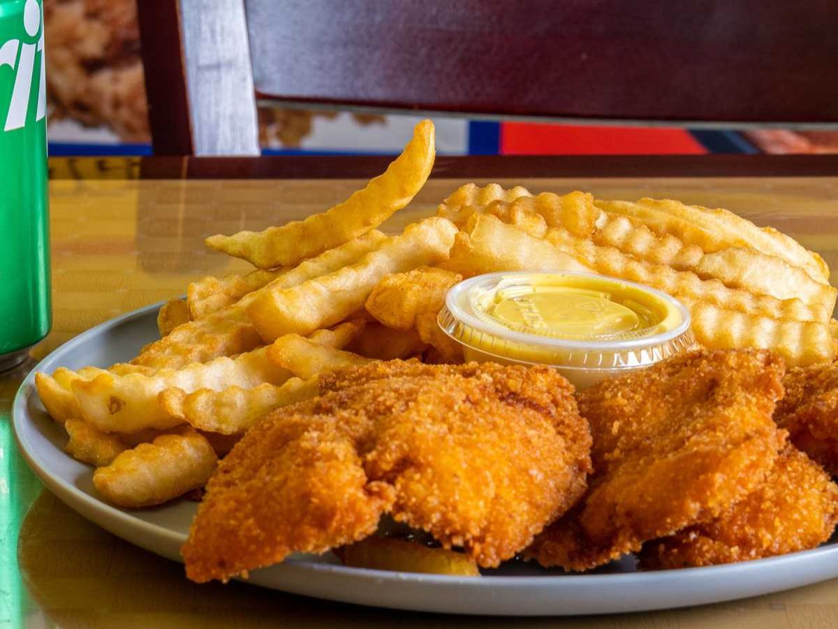 Tenders 10