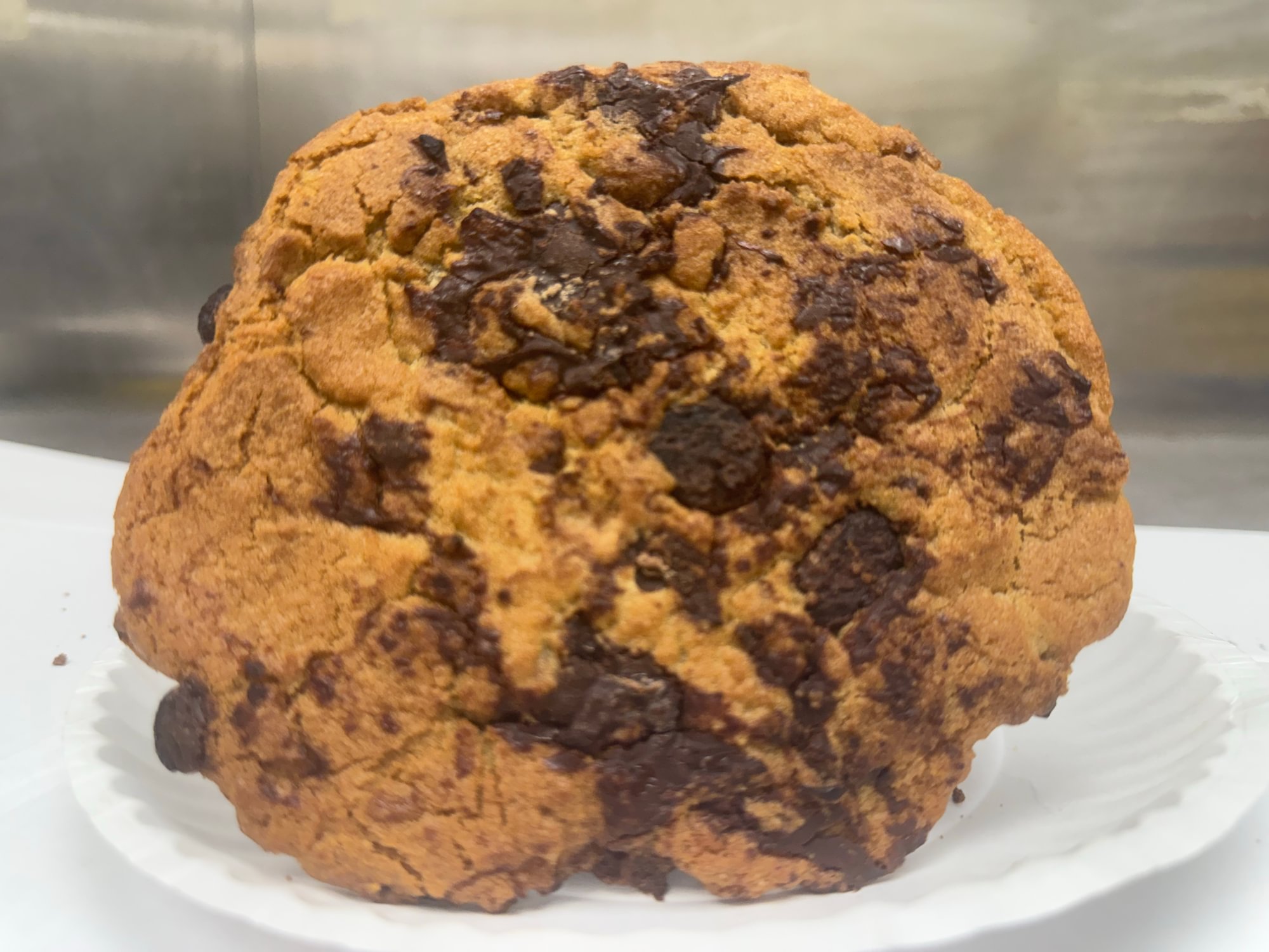 Chocolate Butter Cookie