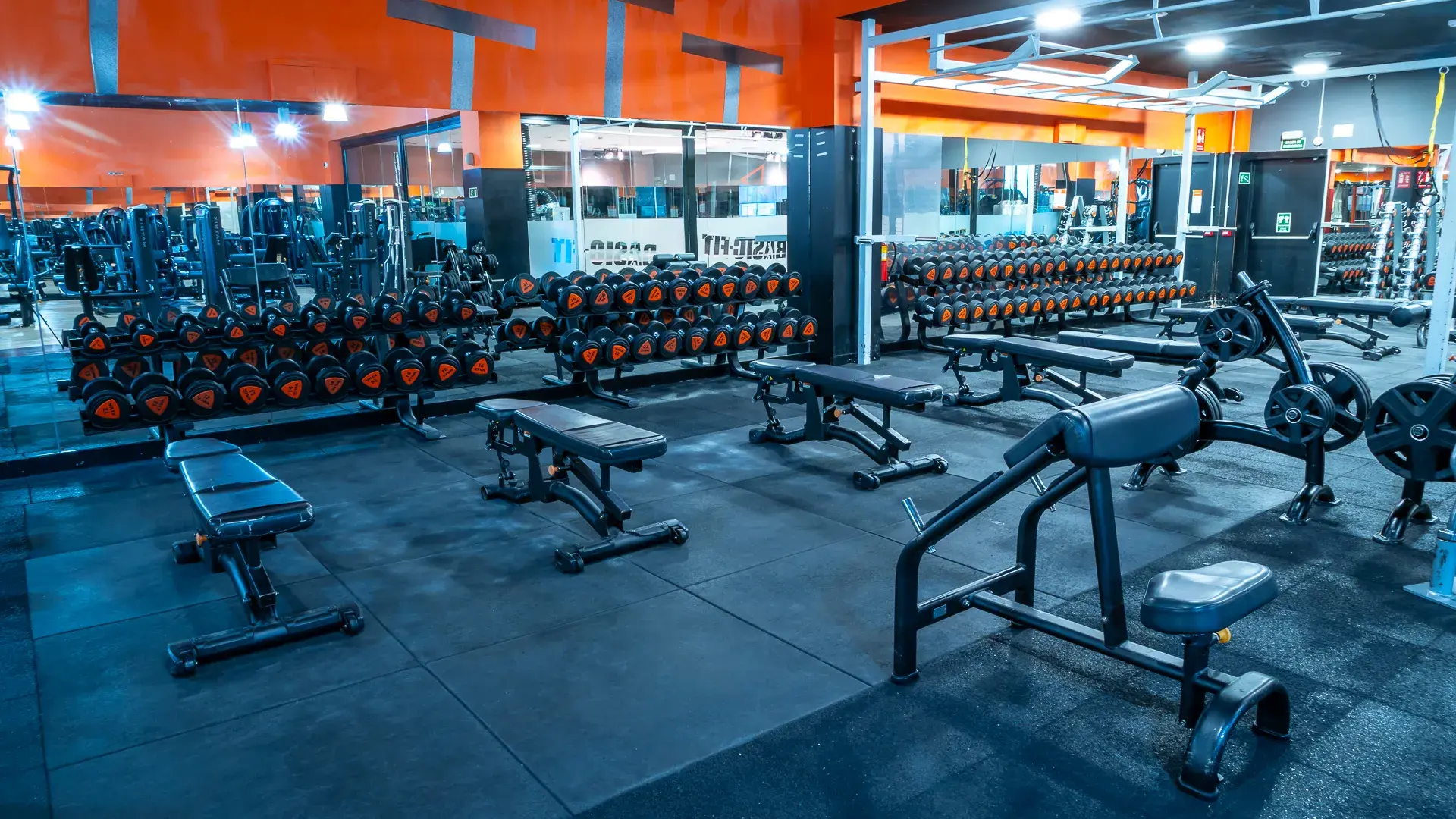 Galería de imágenes