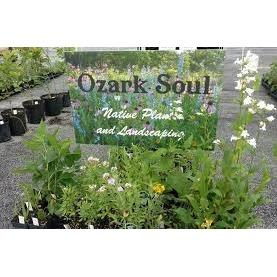 Ozarks Native Landscapes LLC Logo