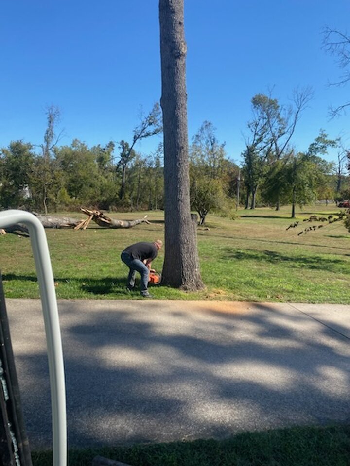 Triple G's Tree Service & Land Clearing Image