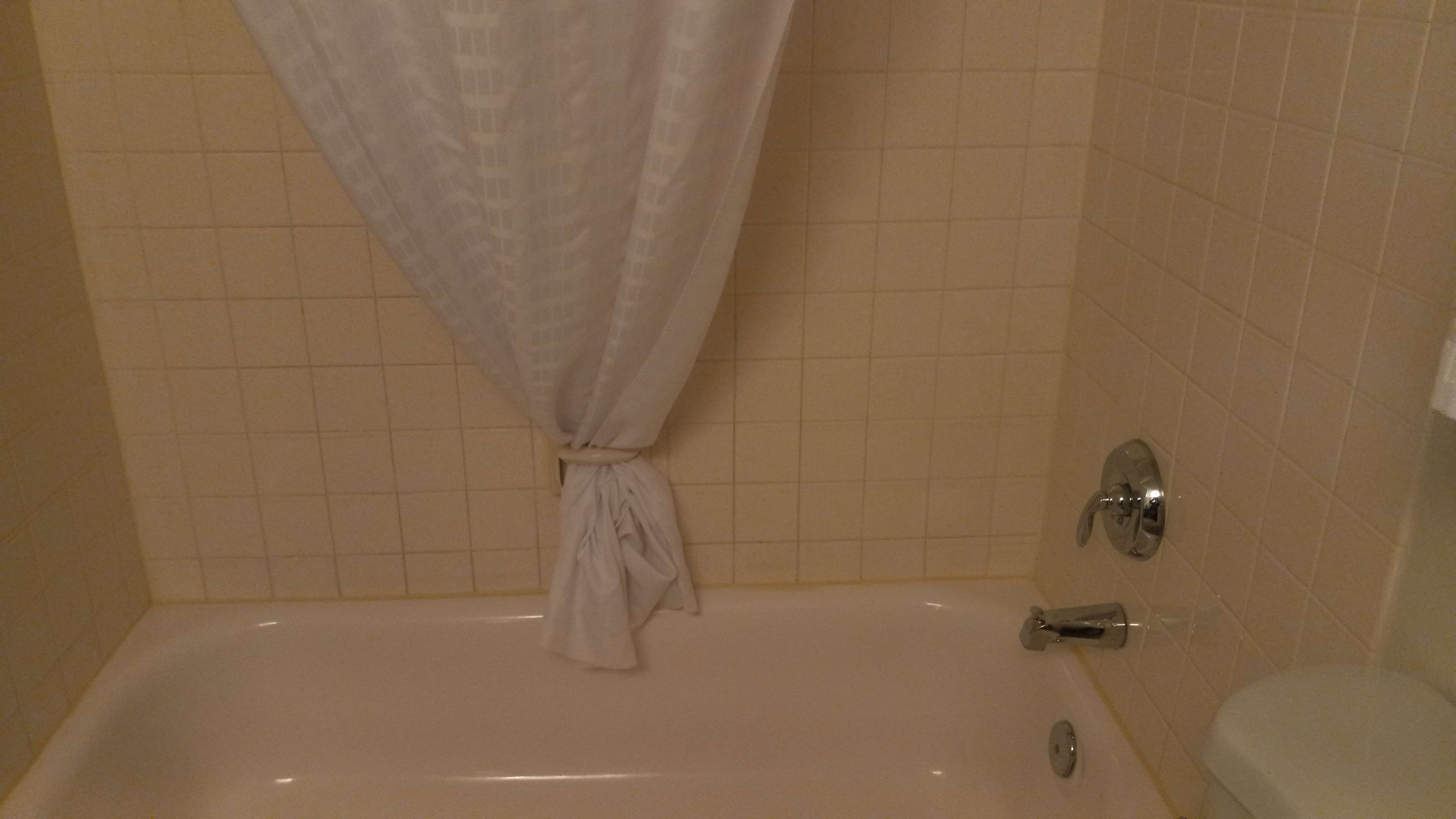 King with Sofabed + Twin Bunks