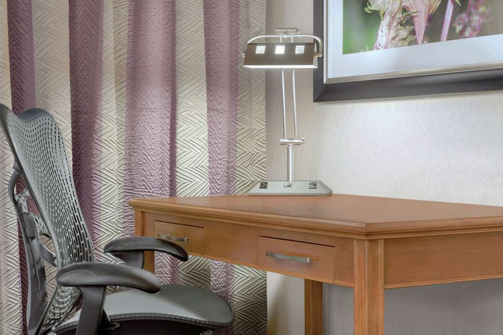 Hilton Garden Inn Springfield, MA Image