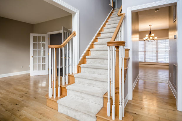 Images Appaloosa Painting Co