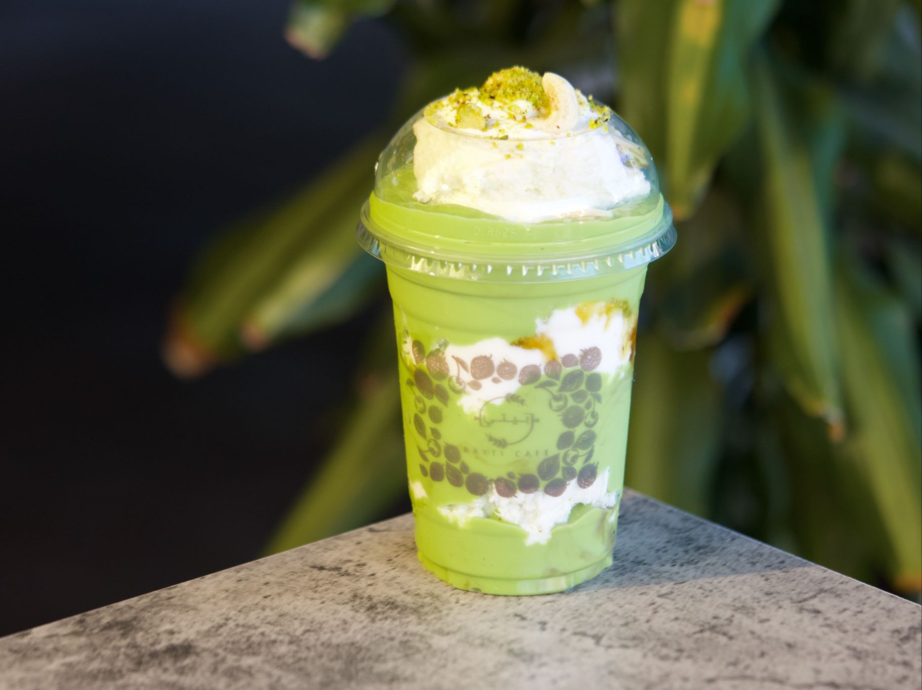 Avocado Dream
