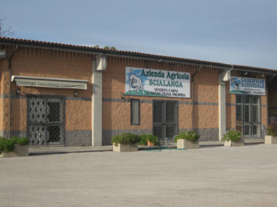 Azienda Agricola Scialanga