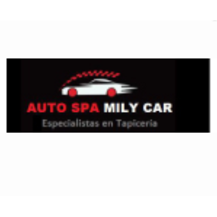 Tapicería - Auto Spa Mily Car Lima