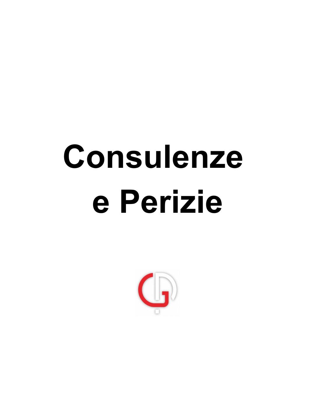 Consulenze e perizie