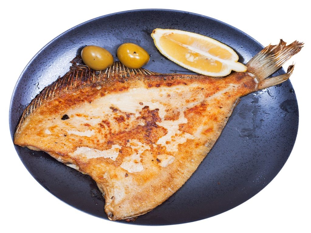 1pc Fish