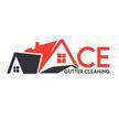 Ace Gutter Cleaning Moreland