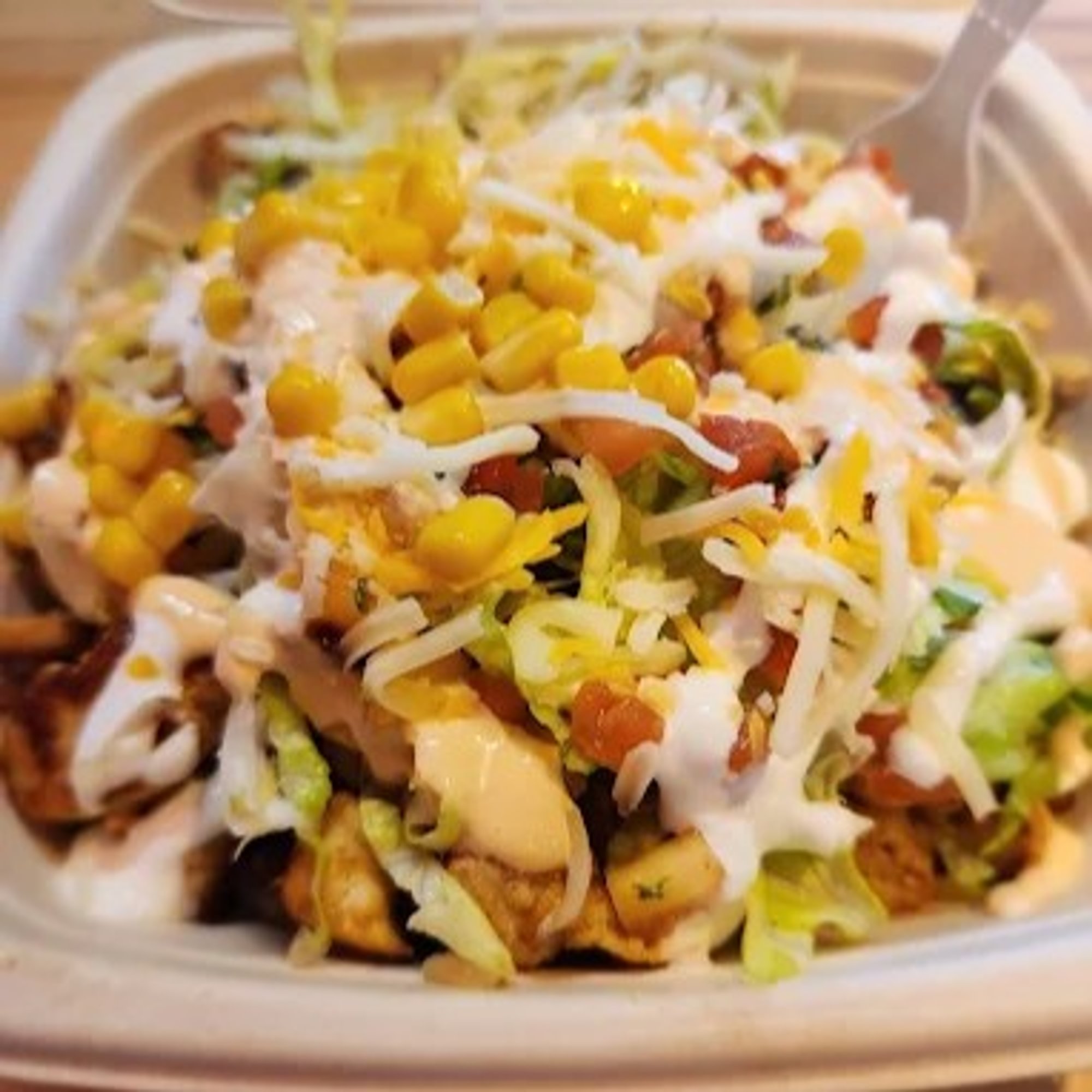Pollo Burrito & Bowl