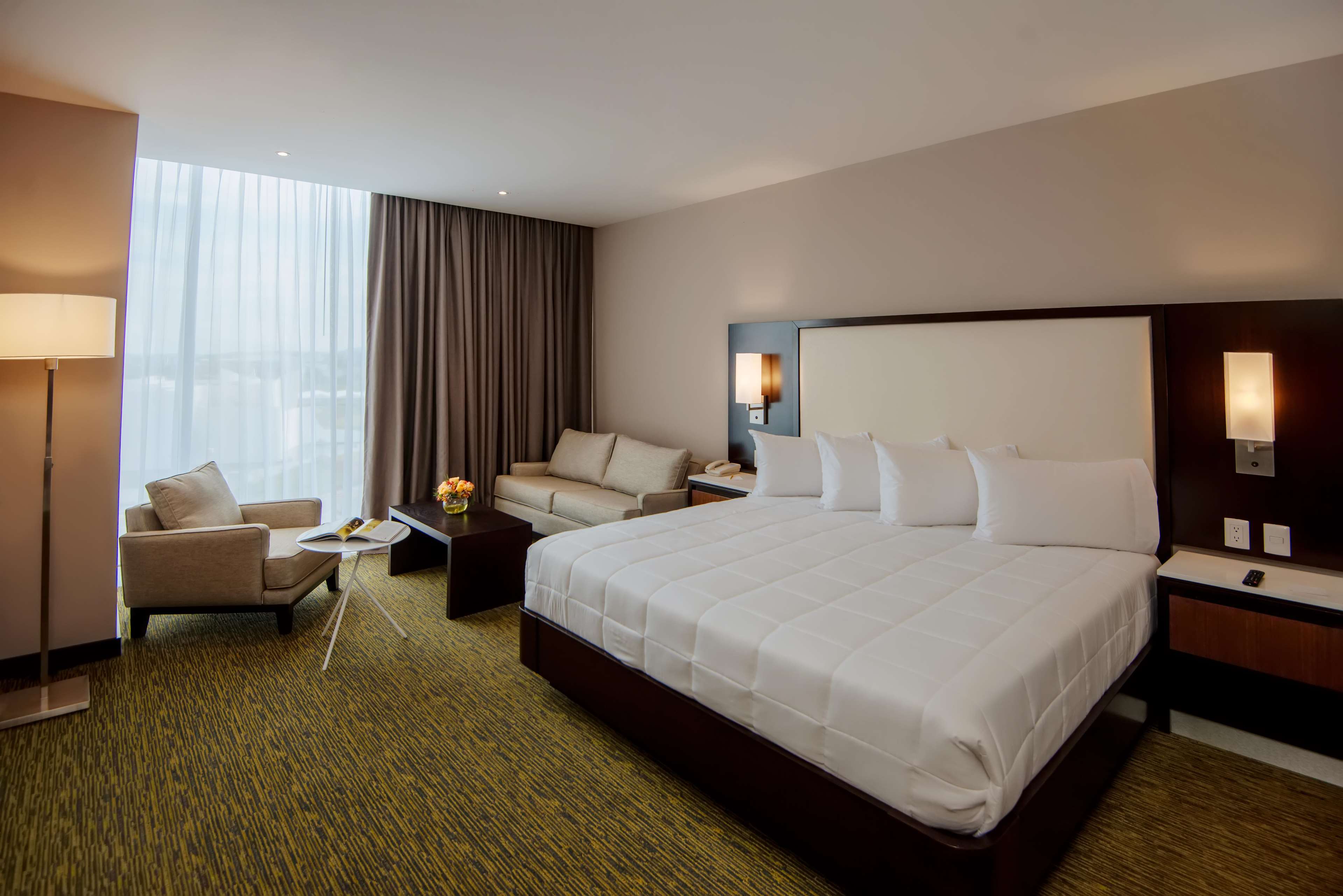 Images Hilton Garden Inn Puebla Angelópolis