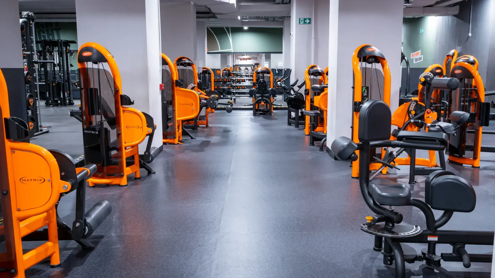 Galería de imágenes