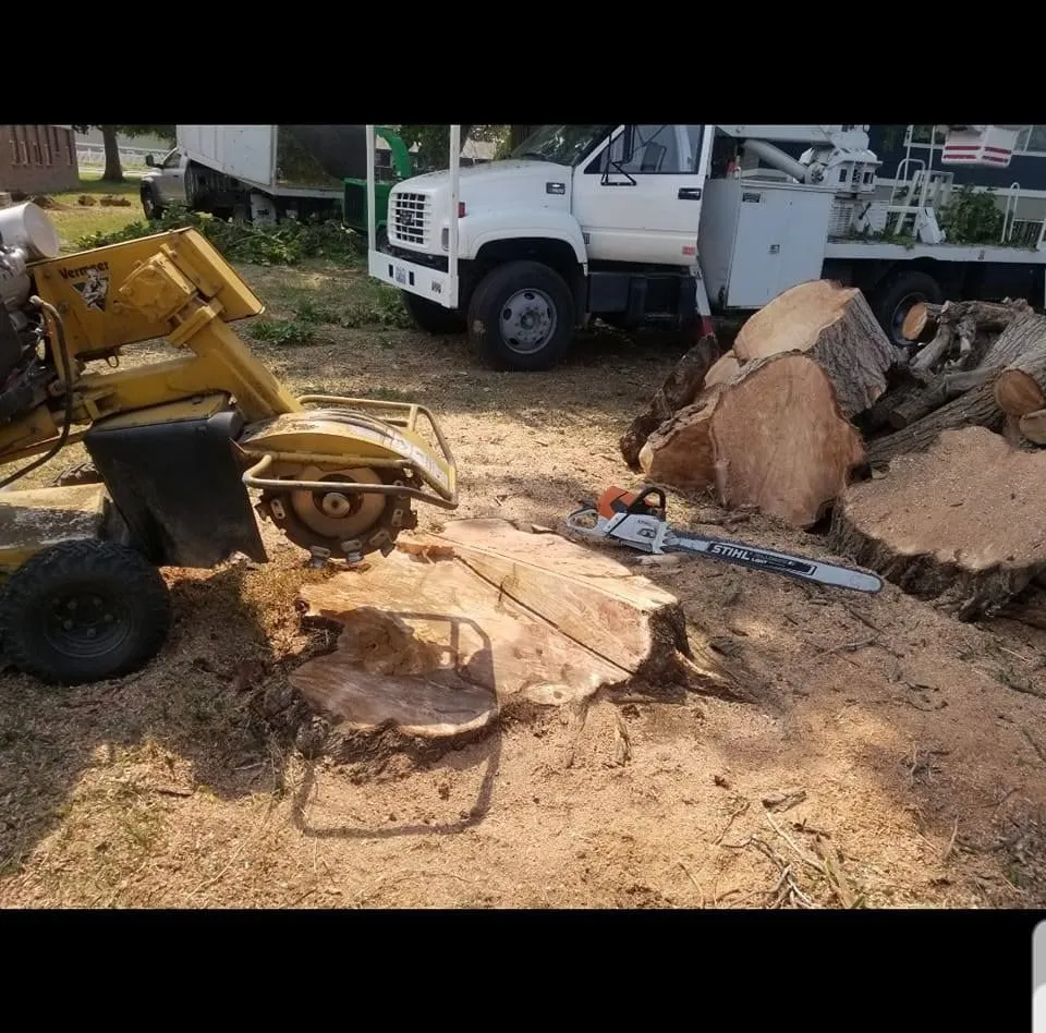 Supreme Tree Service Image