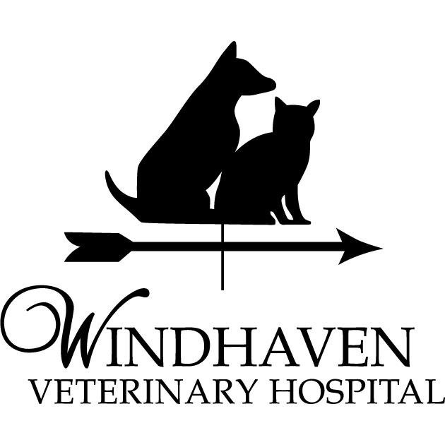 Windhaven Veterinary Hospital Photo