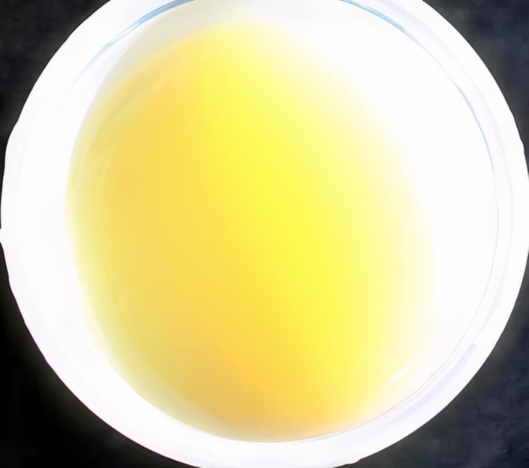 Yuzu Sauce
