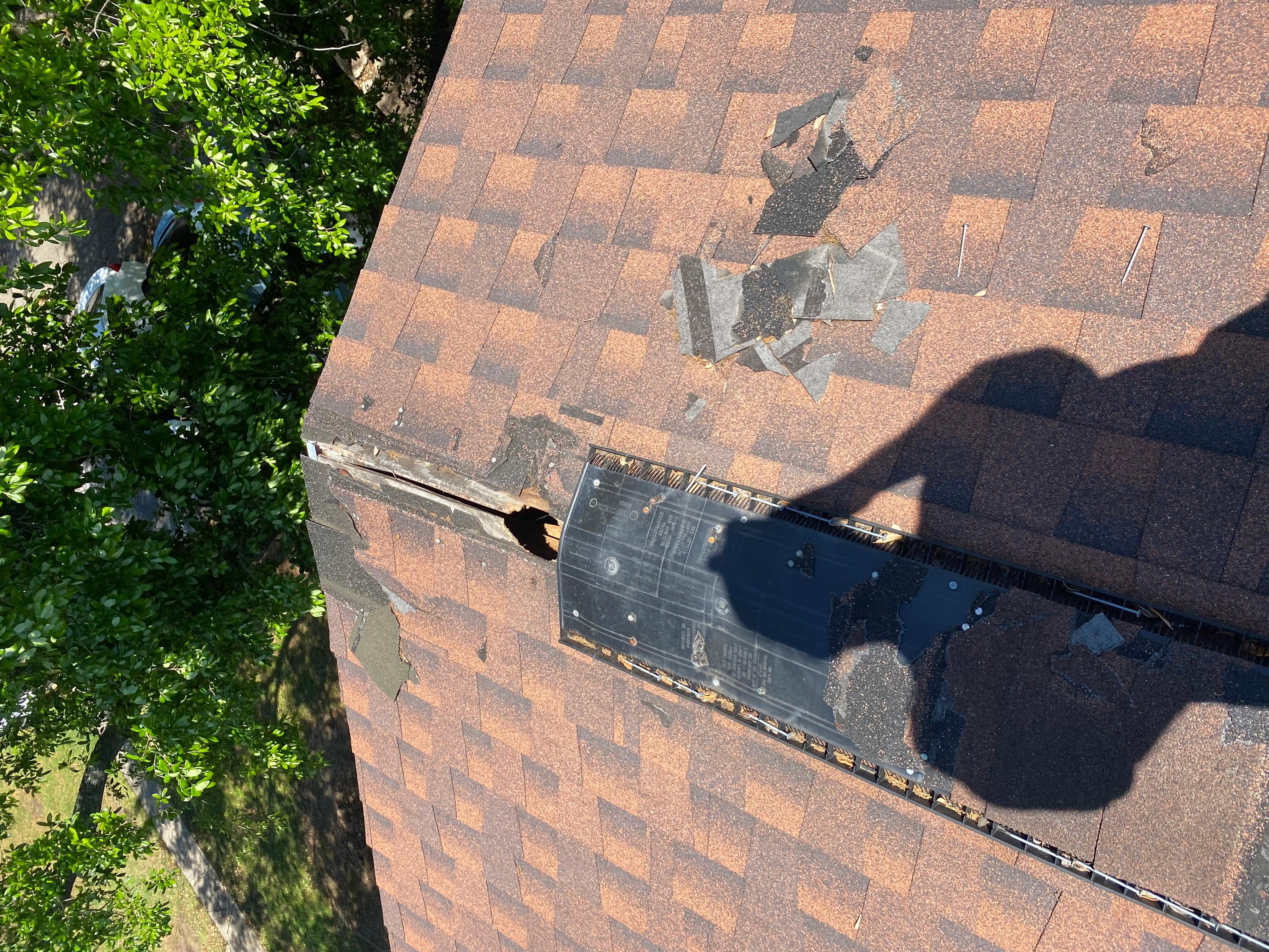 Expert Pest Control Image