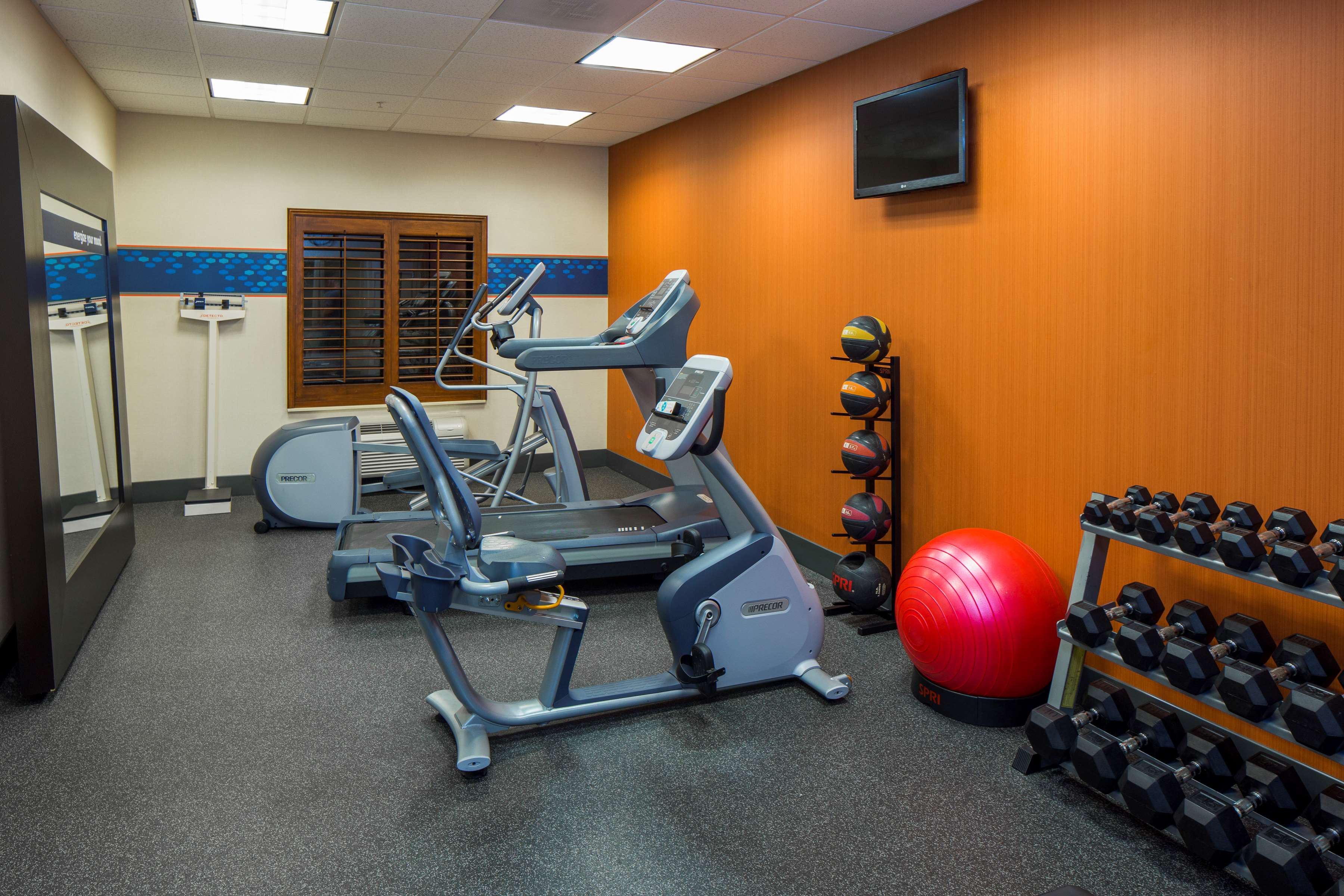 Health club  fitness center  gym