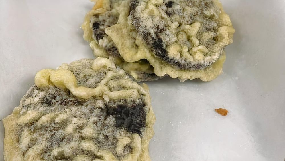 Deep Fried Oreos