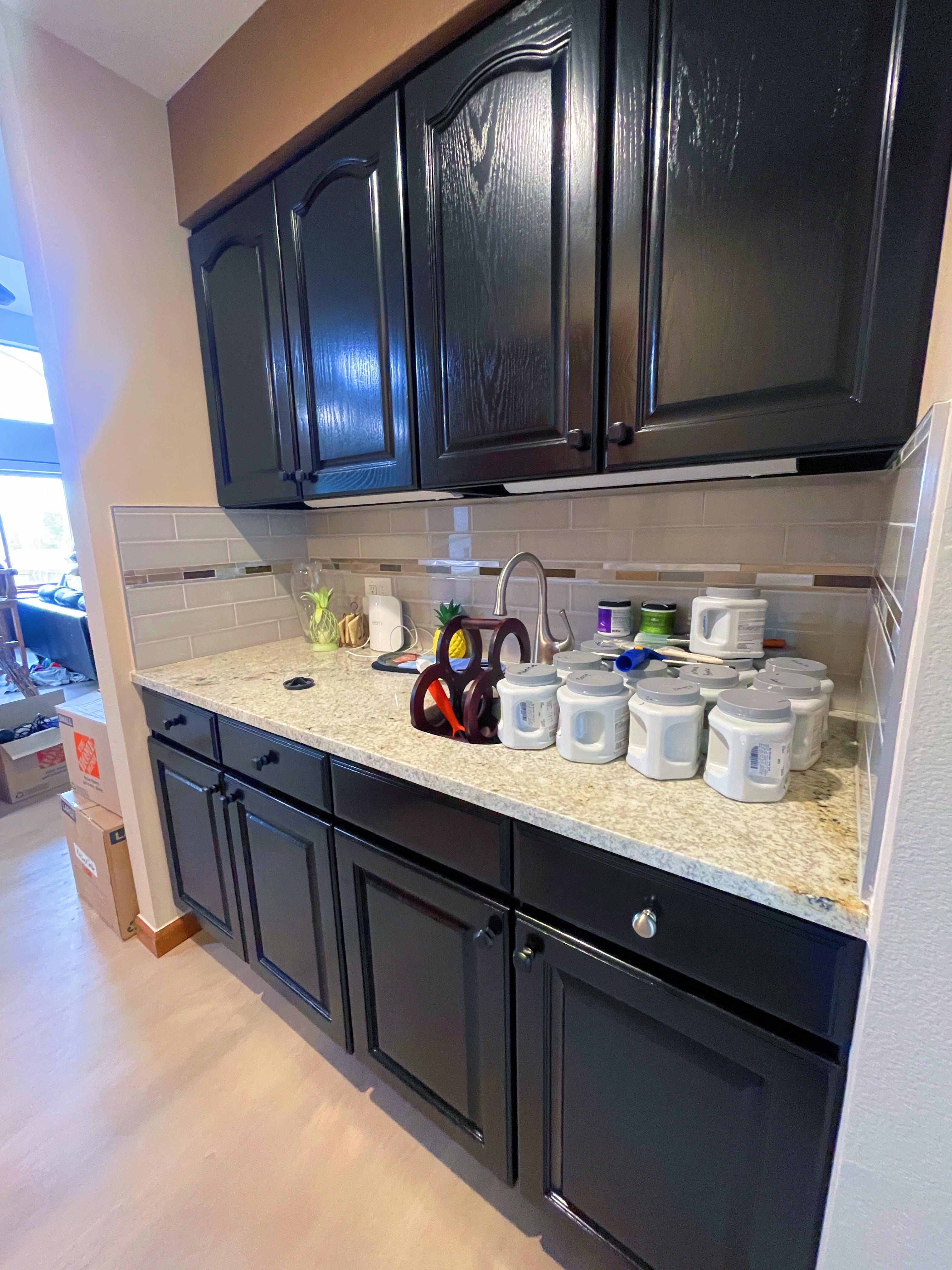 ? Panoramic Pro Painting Image