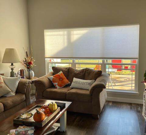 Enjoy family sofa day at any time with our Cellular Shades that block out the glare.  Our shades come in a wide range of colors, textures, and fabrics to suit any home, style, or deÌcor.  BudgetBlindsOwasso  FreeConsultation  WindowWednesday  CellularShades
