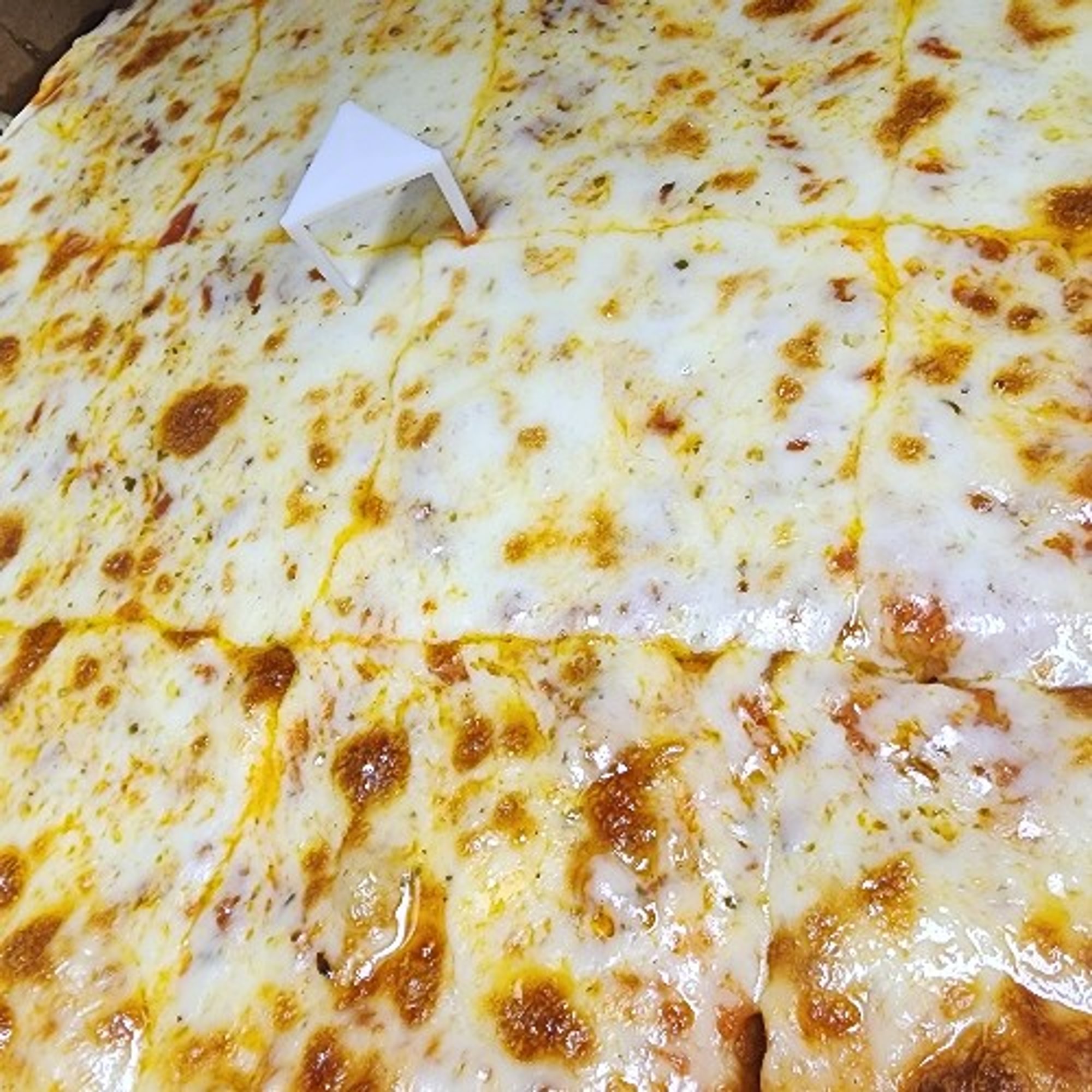 Cheese Only Pizza