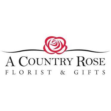 A Country Rose