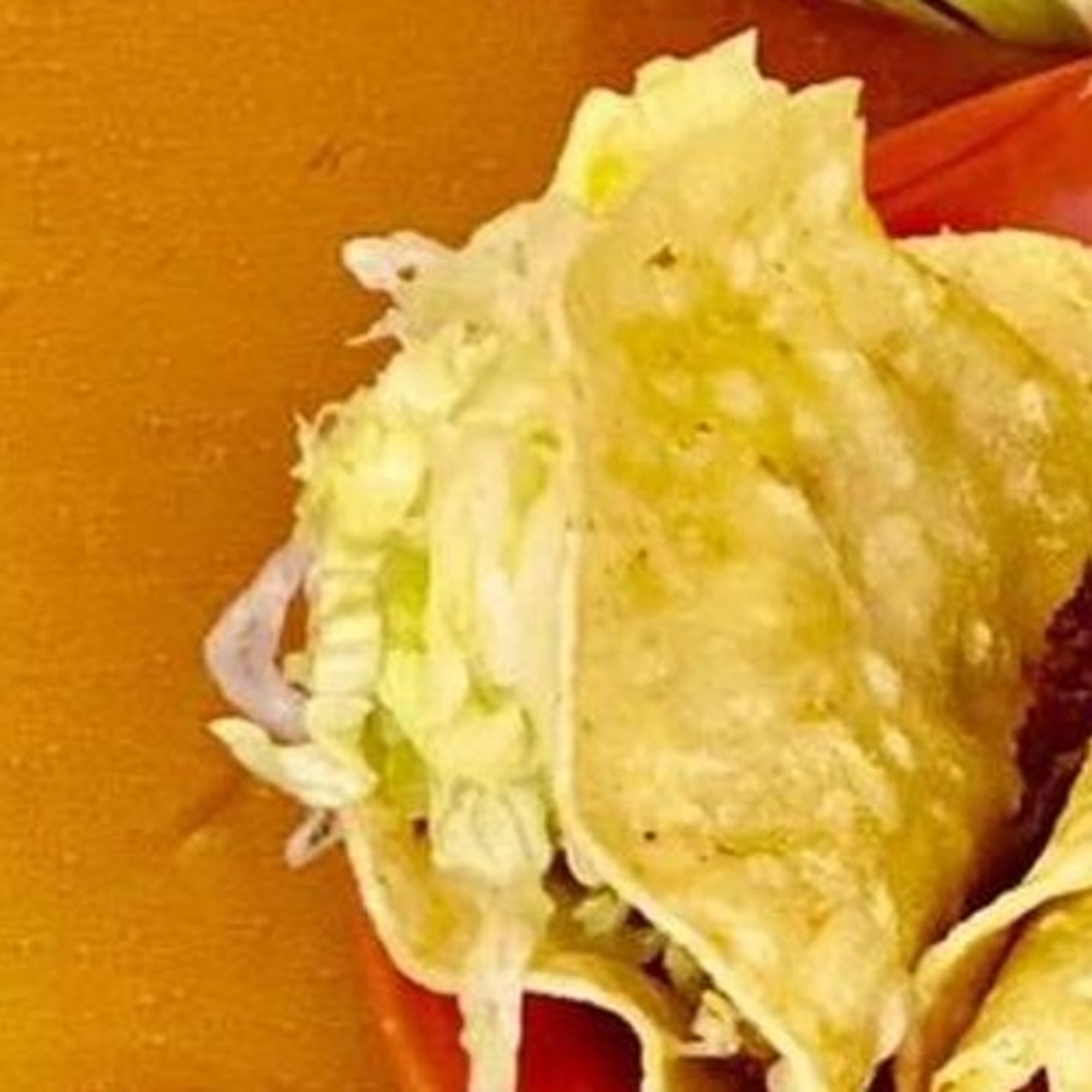 Folded Taco