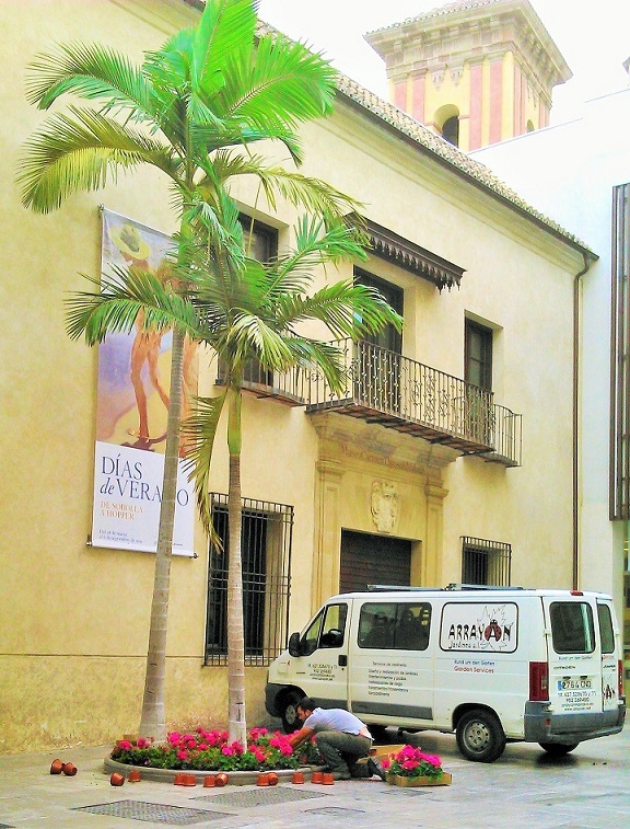 Galería en miniatura