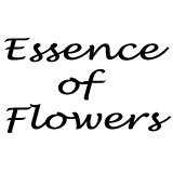 Essence Of Flowers