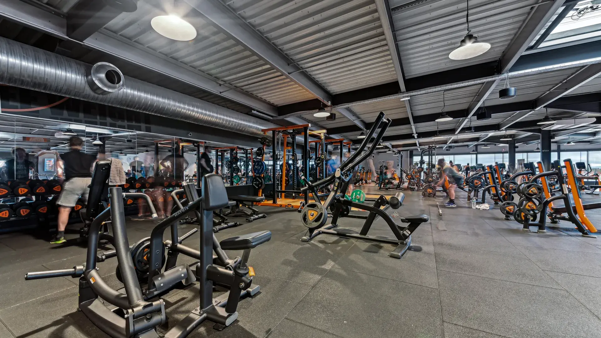 Miniature de la galerie