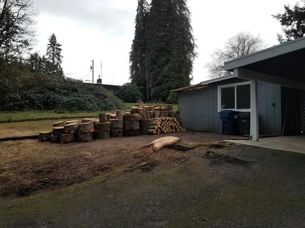 Images Tim's Tree Removal And Services LLC