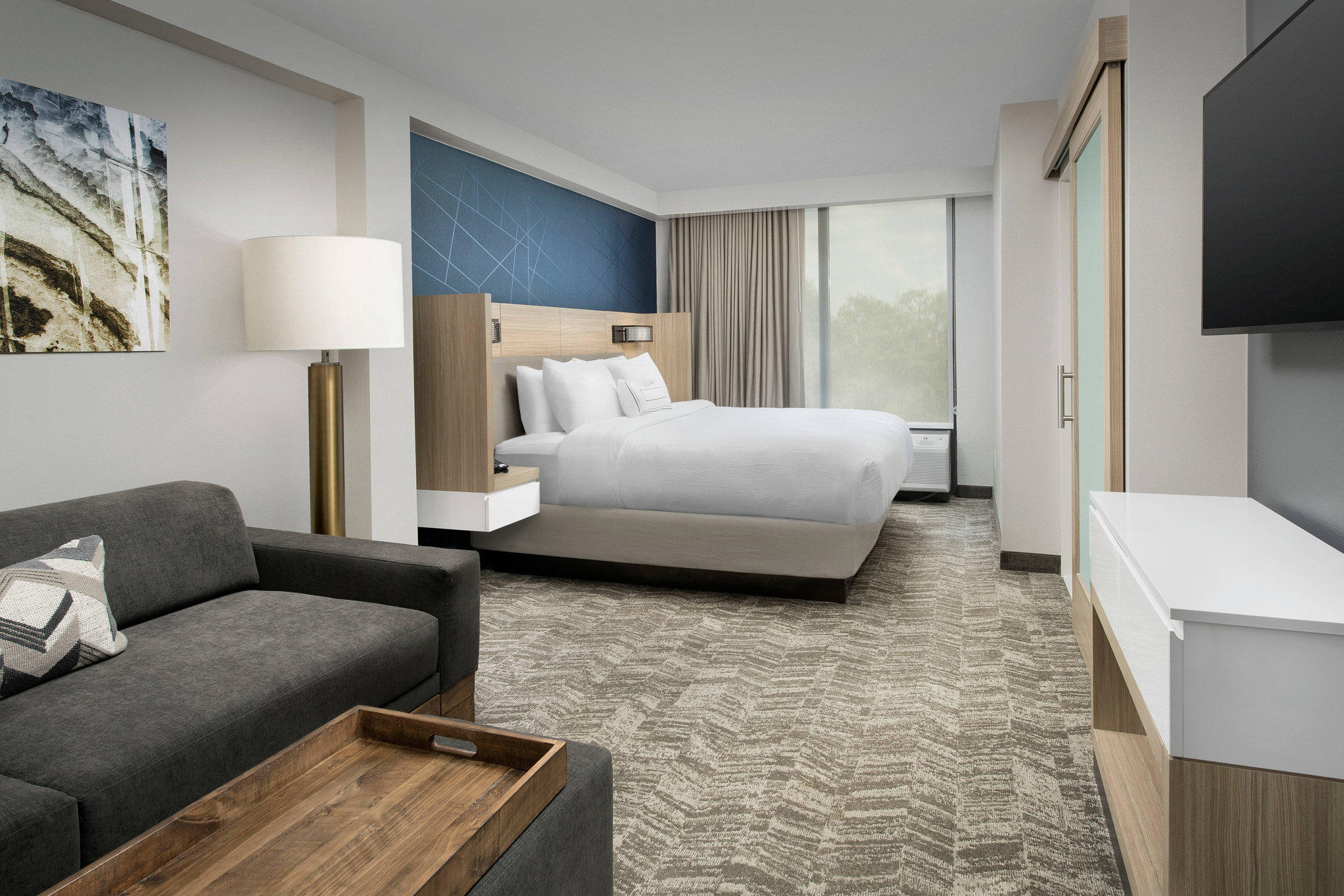 SpringHill Suites by Marriott Atlanta Perimeter Center Photo