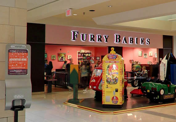 Furry Babies Rockford