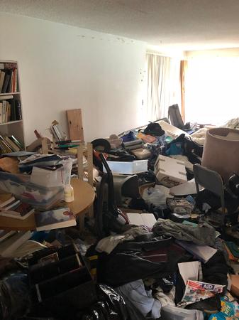 Images G3 Junk Removal