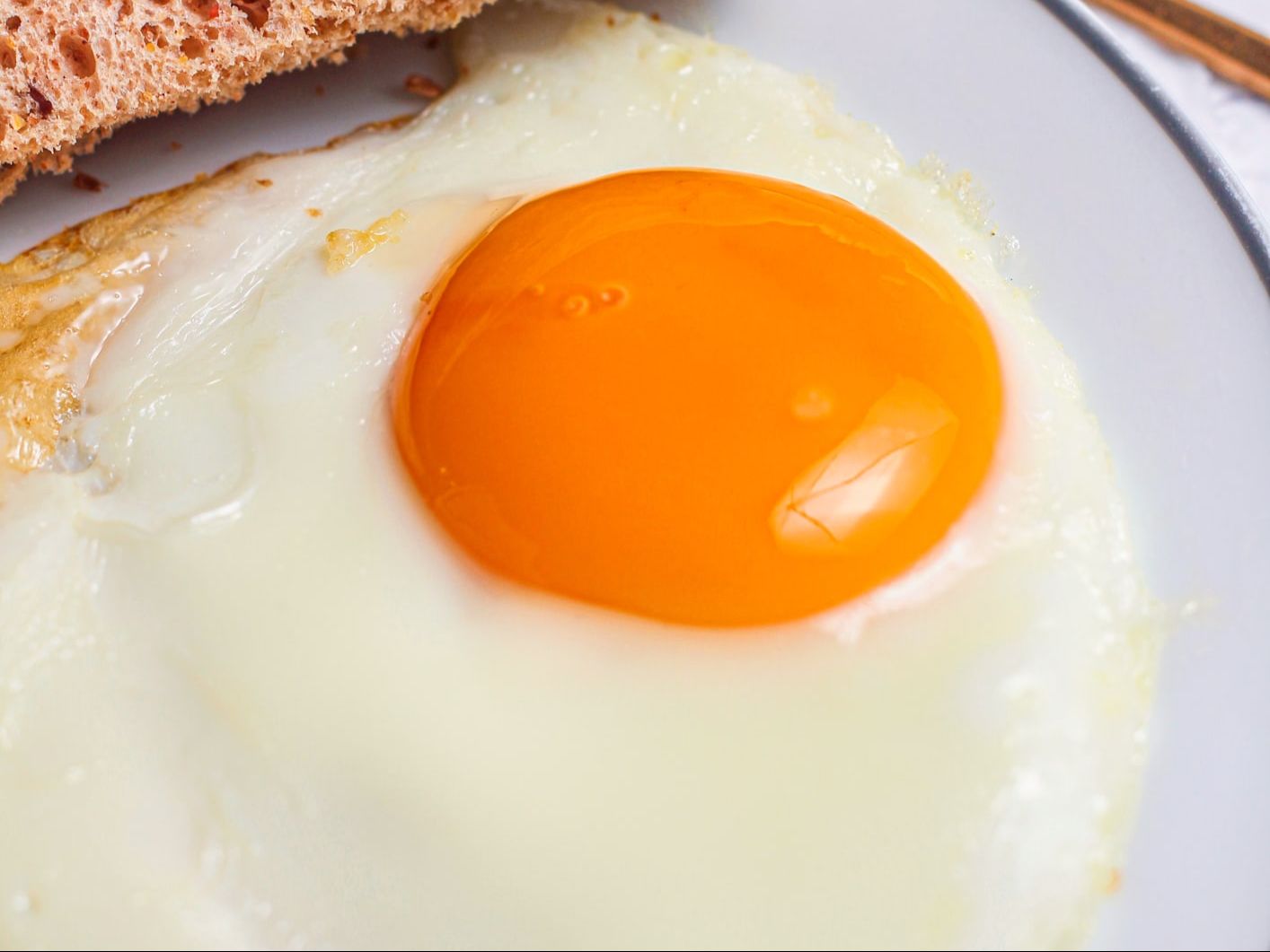 One Egg