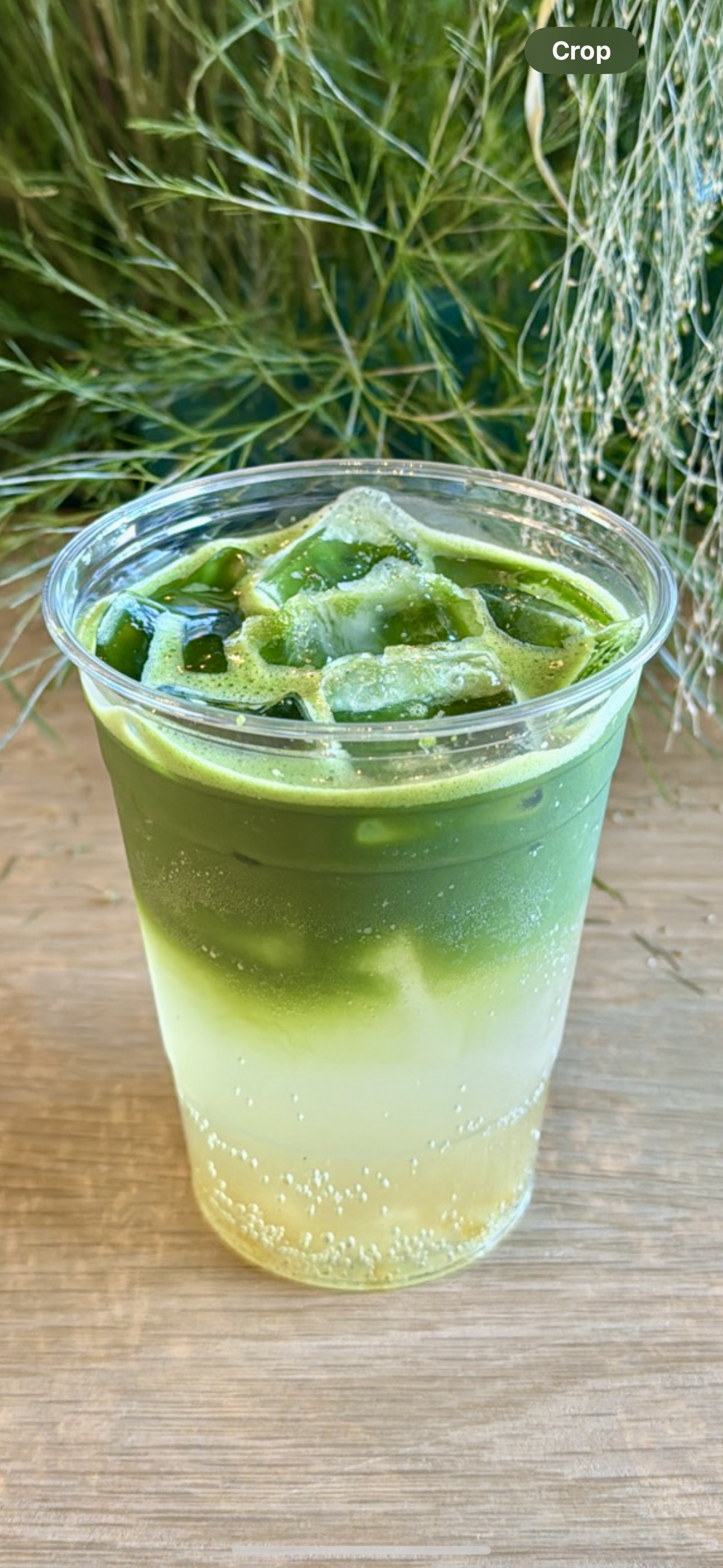 Yuzu Matcha Sparkling