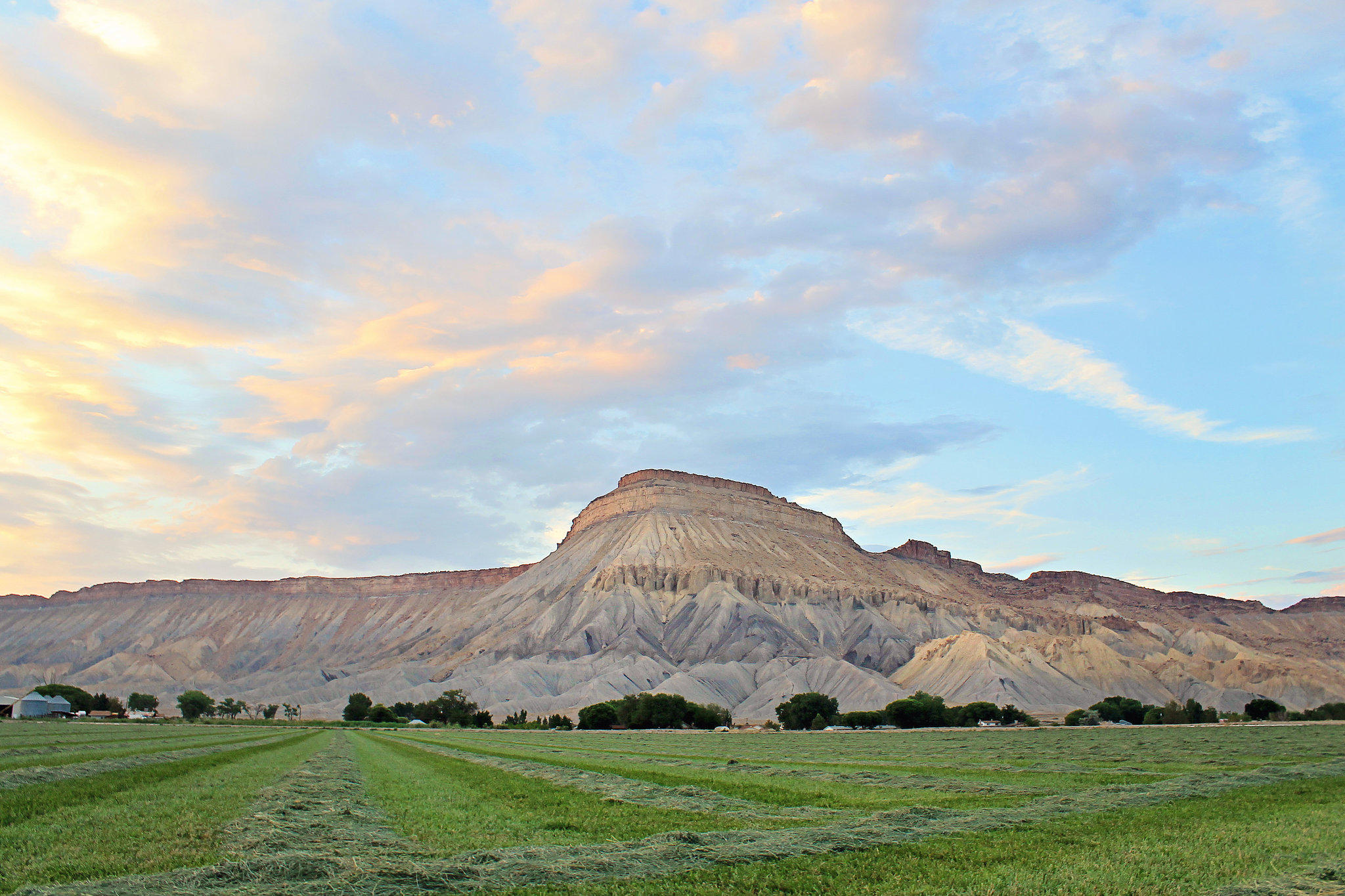 Holiday Inn Express & Suites Grand Junction Photo