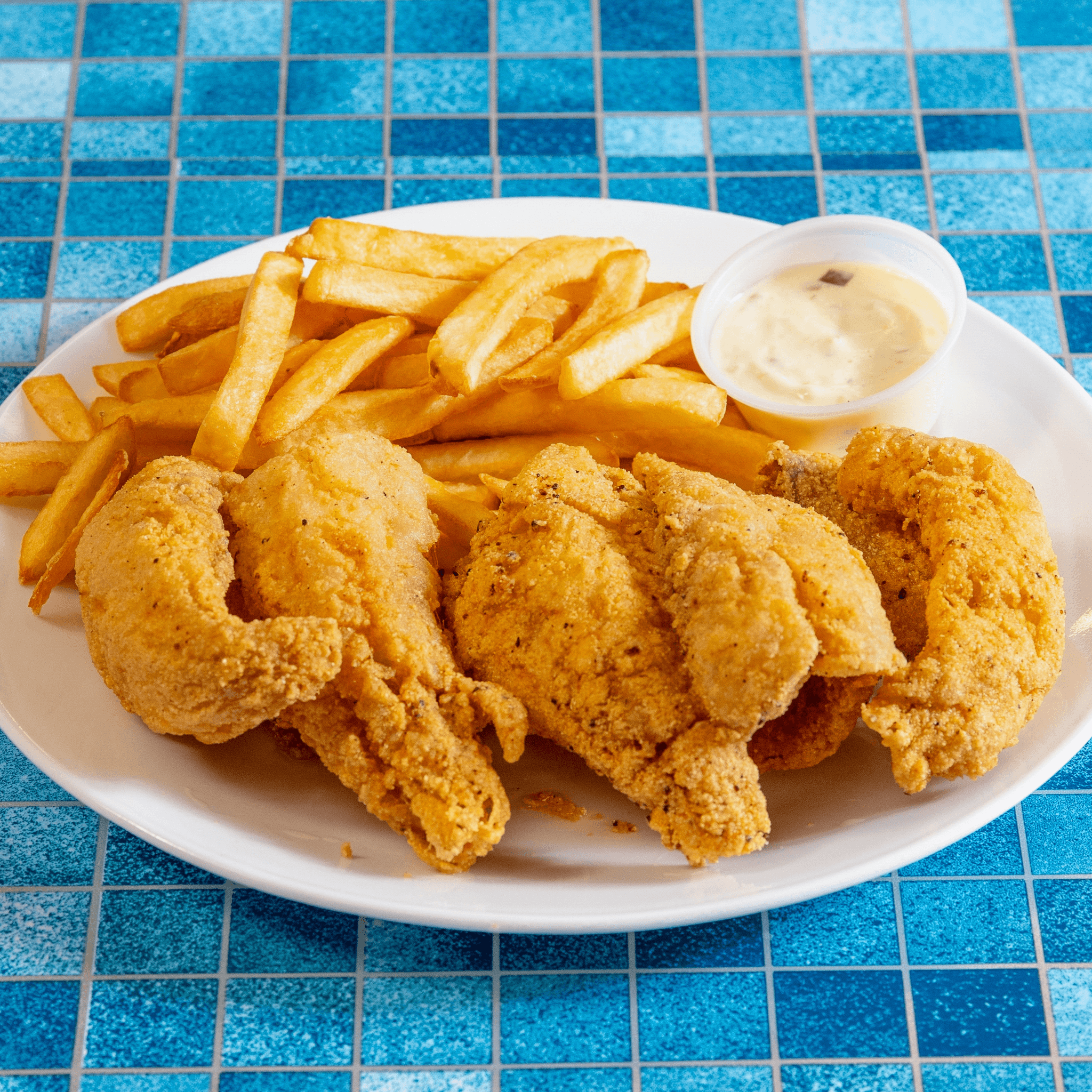 Ocean Perch